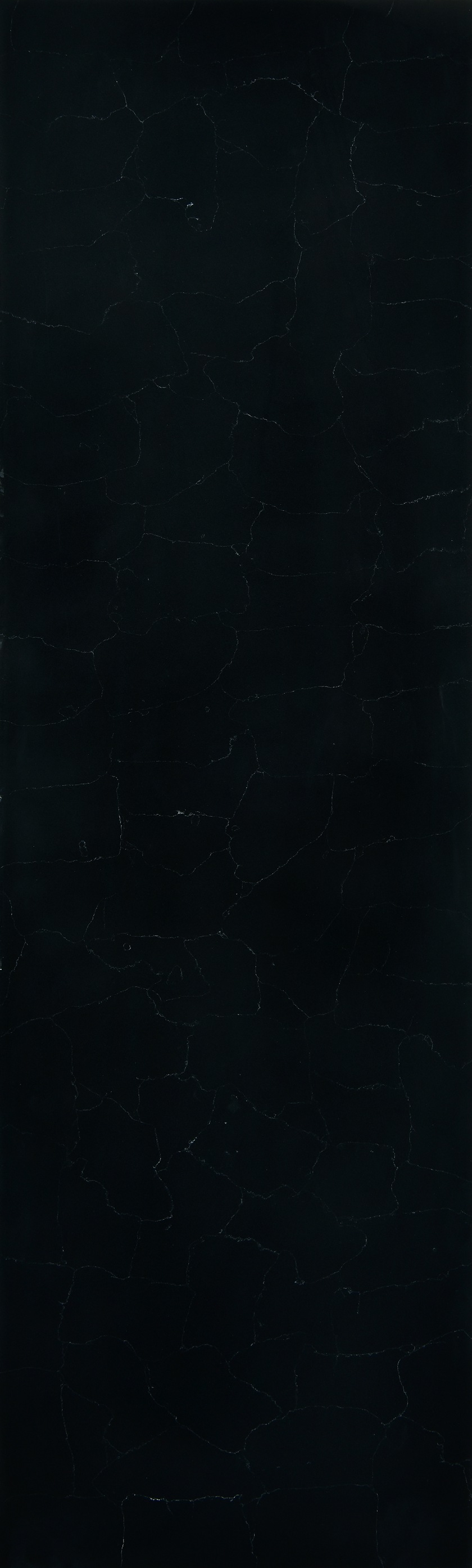 8807